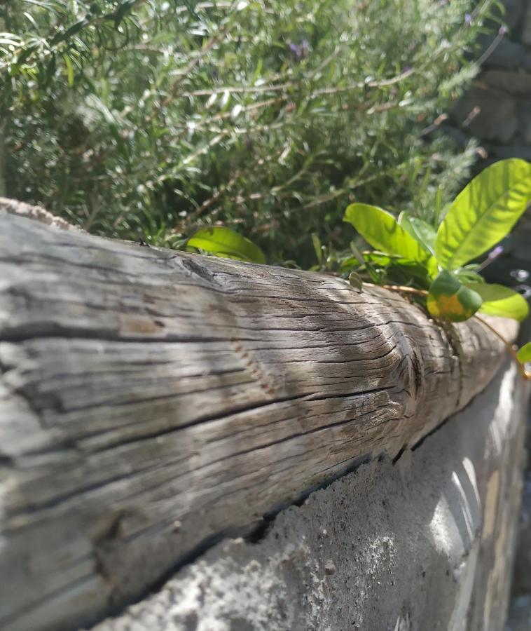 Finca La Ladera Valle Gran Rey Ngoại thất bức ảnh